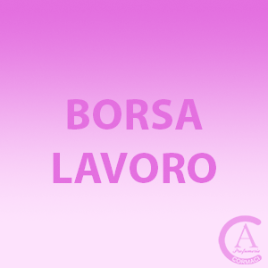 Borse-lavoro