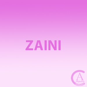 Zaini